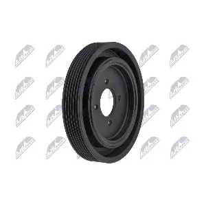 RKP-PE-001 NTY