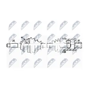 NPW-MZ-084 NTY