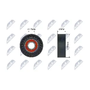 NTY RNK-AR-019