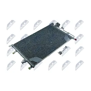 CCS-VV-003 NTY