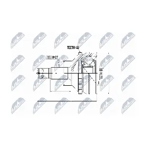 NTY NPZ-CT-004
