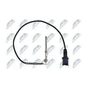EGT-AR-001 NTY