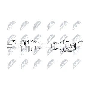 NPW-RE-208 NTY