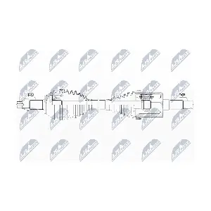 NPW-AR-008 NTY
