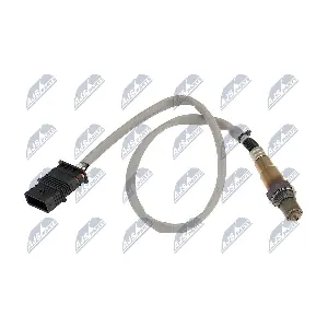 ESL-BM-014 NTY