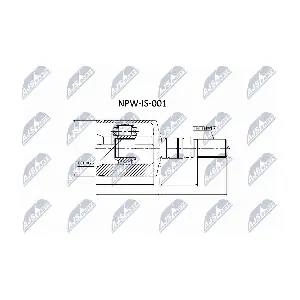 NTY NPW-IS-001