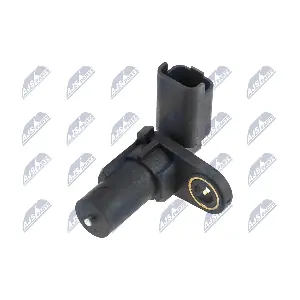 ECP-RE-013 NTY