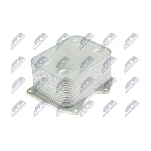 CCL-VW-006 NTY