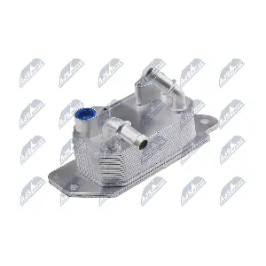 CCL-FR-012 NTY