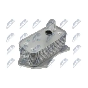 CCL-PL-021 NTY