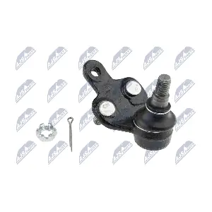 ZSD-TY-050 NTY