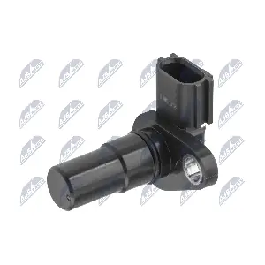 ECP-MS-018 NTY