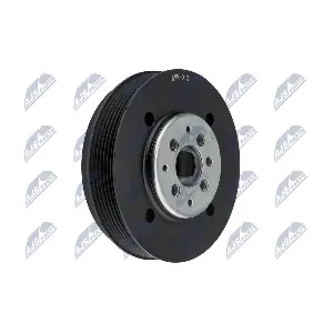 NTY RKP-VW-012