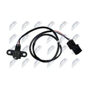 ECP-MS-007 NTY