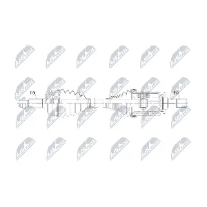 NPW-LR-048 NTY