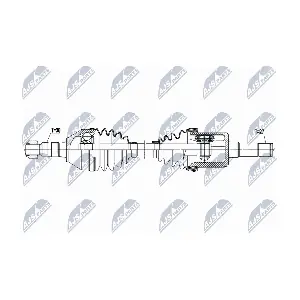 NPW-PL-167 NTY