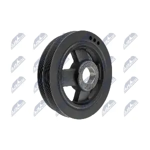 RKP-MS-006 NTY