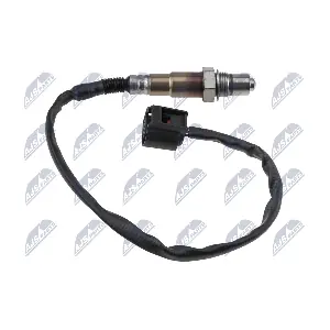 NTY ESL-BM-029