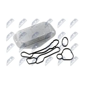 NTY CCL-PL-003