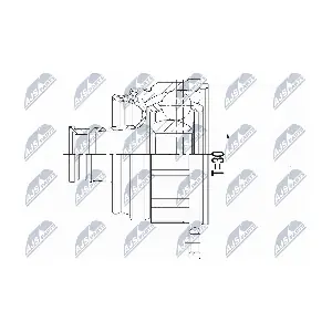 NPW-VV-127 NTY