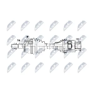 NTY NPW-DW-065
