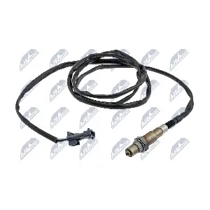 ESL-CT-019 NTY