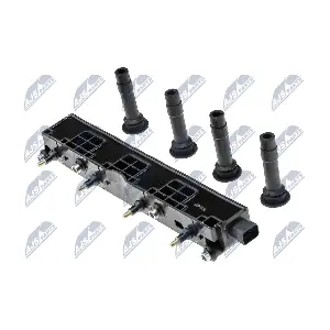 NTY ECZ-PL-005