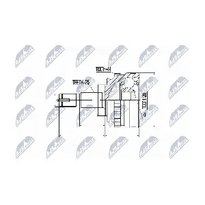 NPZ-FT-006 NTY