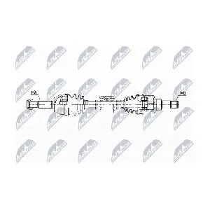 NPW-FR-171 NTY