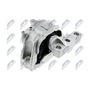 NTY ZPS-VW-031