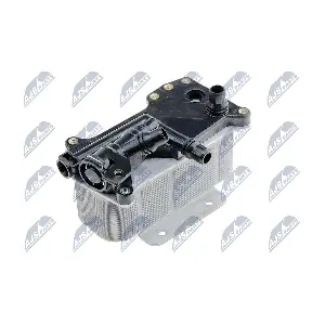 CCL-BM-009 NTY