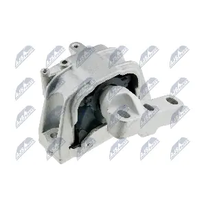 ZPS-VW-011 NTY