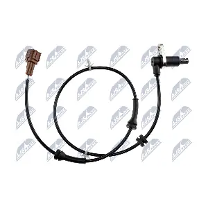 NTY HCA-NS-082