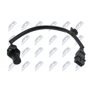 ECP-HY-022 NTY