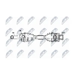 NTY NPW-MZ-086