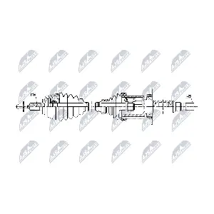 NPW-VV-167 NTY