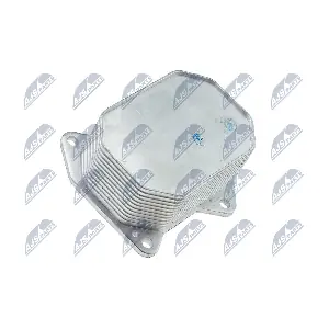 NTY CCL-FR-001