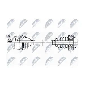 NTY NPW-AU-032