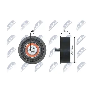 NTY RNK-PL-019