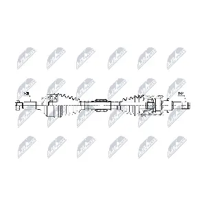 NTY NPW-MZ-096