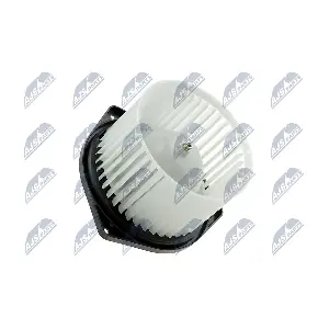 EWN-MS-000 NTY
