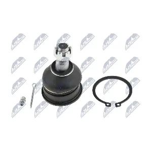 ZSG-NS-004 NTY