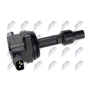 NTY ECZ-VV-002