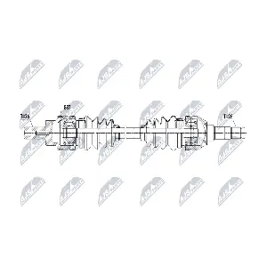 NPW-VV-155 NTY