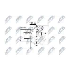 NPZ-VW-006 NTY