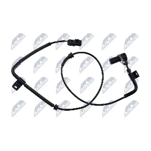 HCA-HY-529 NTY