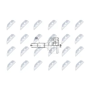 NTY NPZ-CT-025