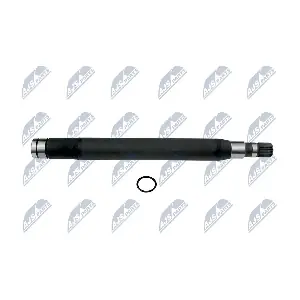 NWP-PL-004 NTY
