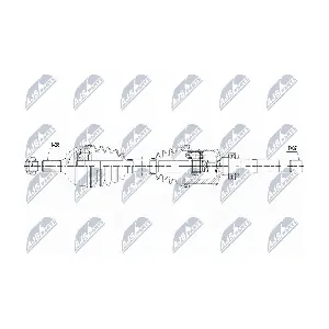 NPW-CT-061 NTY