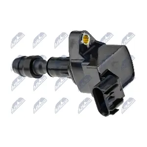 NTY ECZ-PL-010